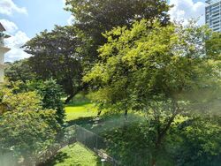 Mulberry Tree (D11), Apartment #422077071